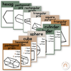 3D Shape Posters - Modern Jungle Earthy Decor - Miss Jacobs Little Learners