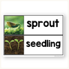 All About Plants Nonfiction Unit - Miss Jacobs Little Learners
