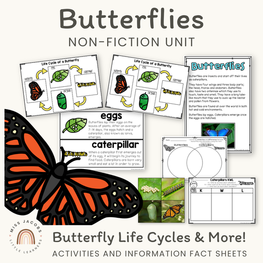 Butterfly Unit  - Life Cycle, Worksheets & Activities