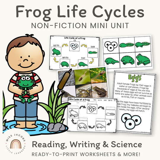Frog Life Cycle Stages Mini Unit - Visuals and Worksheets
