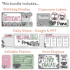 Koala Theme Classroom Essentials Decor Pack - Miss Jacobs Little Learners