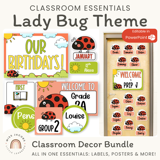 Ladybug Theme Classroom Essentials Decor Pack