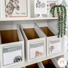 Reading Group Organizers & Labels | MODERN JUNGLE Vibes Classroom Decor - Miss Jacobs Little Learners