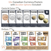 Money Posters - Boho Plants Theme Classroom Decor - Miss Jacobs Little Learners