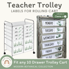 Teacher Trolley Labels for Rolling Cart - Modern Botanical Decor - Miss Jacobs Little Learners