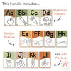 Alphabet Posters Bundle - English, ASL & Auslan - Woodland Decor - Miss Jacobs Little Learners