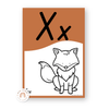 Animals Alphabet Posters - Woodland Theme Classroom Decor - Miss Jacobs Little Learners