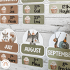 Birthday Display - Woodland Theme Classroom Decor - Miss Jacobs Little Learners