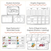 Bugs & Insects Unit - Miss Jacobs Little Learners