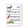 Bugs & Insects Unit - Miss Jacobs Little Learners