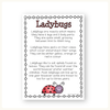 Bugs & Insects Unit - Miss Jacobs Little Learners