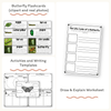 Butterfly Unit - Life Cycle, Worksheets & Activities - Miss Jacobs Little Learners