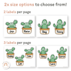 Cactus Door Display Classroom Decor - Miss Jacobs Little Learners