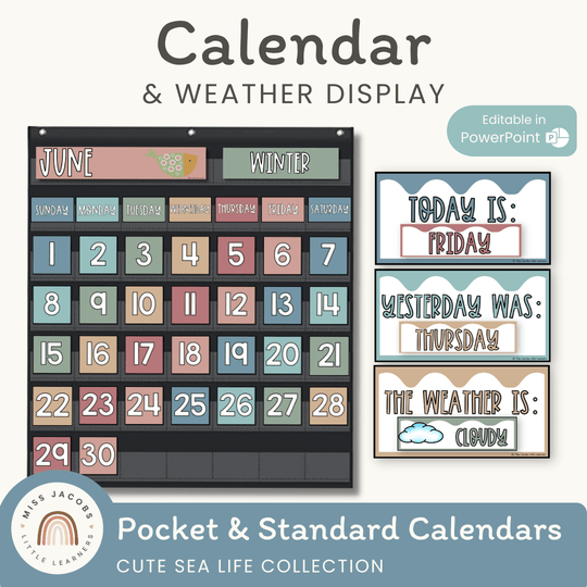 Calendar & Weather Display - Cute Sea Life Classroom Decor