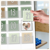 Calendar & Weather Display - Modern Botanical Classroom Decor - Miss Jacobs Little Learners