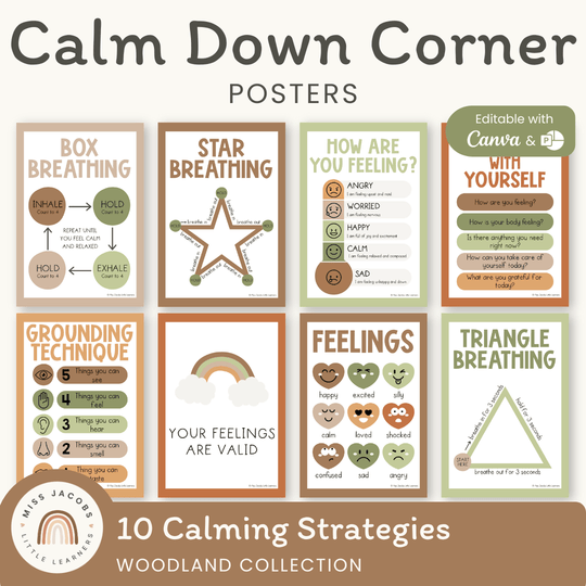 Calm Down Corner Posters - Woodland Theme Classroom Decor