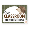 Classroom Rules and Expectations Posters - Woodland Decor - Miss Jacobs Little Learners
