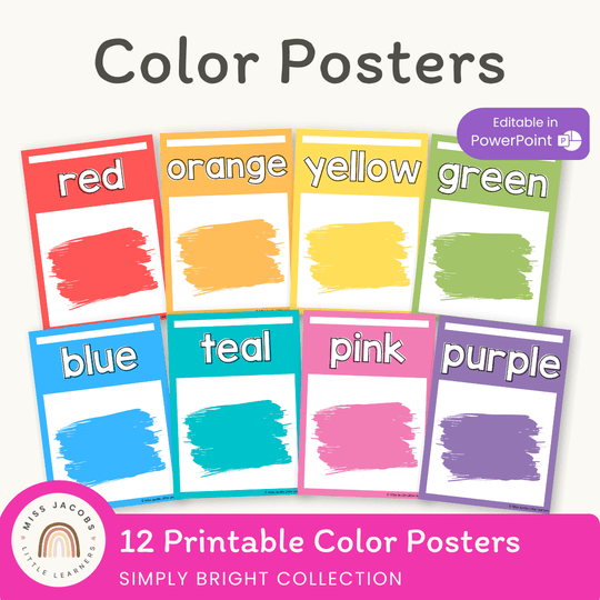 Colour Cards | BRIGHTS CLASSROOM DECOR | Editable