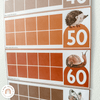 Days At School Tally Display - Woodland Theme Classroom Decor - Miss Jacobs Little Learners