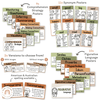 English Posters Reading and Writing Bundle - Woodland Classroom Decor - Miss Jacobs Little Learners