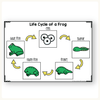 Frogs Unit - Life Cycle, Worksheets & Activities - Miss Jacobs Little Learners