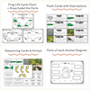Frogs Unit - Life Cycle, Worksheets & Activities - Miss Jacobs Little Learners