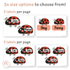 Ladybug Door Display Classroom Decor - Miss Jacobs Little Learners