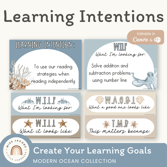 Learning Intention and Success Criteria Display - Modern Ocean