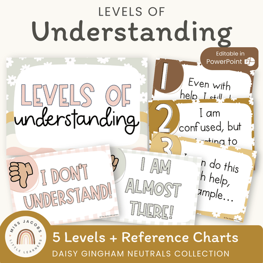 Levels of Understanding Posters - Daisy Gingham Neutrals Decor