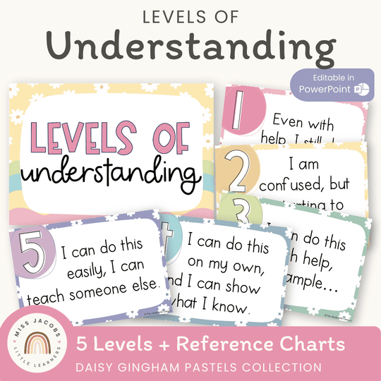 Levels of Understanding Posters - Daisy Gingham Pastels Decor