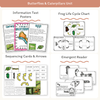 Life Cycle Thematic Units Bundle - Printables, Worksheets & Activities - Miss Jacobs Little Learners