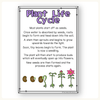 Life Cycle Thematic Units Bundle - Printables, Worksheets & Activities - Miss Jacobs Little Learners