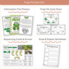 Life Cycle Thematic Units Bundle - Printables, Worksheets & Activities - Miss Jacobs Little Learners