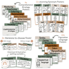 Modern Jungle Earthy English Posters Bundle - Reading and Writing - Miss Jacobs Little Learners