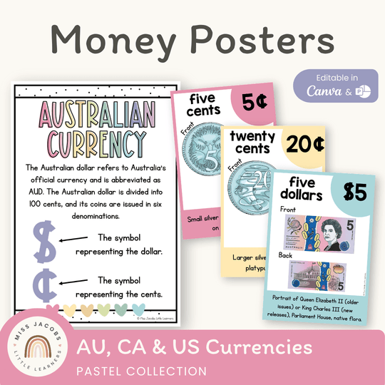 Money Posters - Pastel Theme Classroom Decor