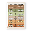 Money Posters - Woodland Theme Classroom Decor - Miss Jacobs Little Learners