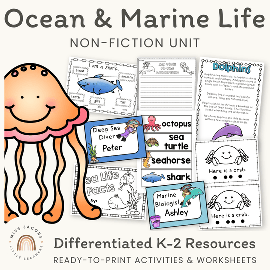 Ocean & Marine Life Unit - Under The Sea