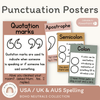Punctuation Posters - Boho Neutrals Theme - Miss Jacobs Little Learners
