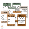 Punctuation Posters - Modern Jungle Earthy Decor - Miss Jacobs Little Learners