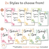 Reading Group Organizers & Labels | Daisy Gingham Pastels Classroom Decor | Editable - Miss Jacobs Little Learners