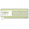 Simple Pastels Student Name & Goals Desk Plates - Miss Jacobs Little Learners