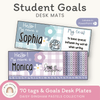 Student Desk Name Plate & Goals Mat - Daisy Gingham Pastels - Miss Jacobs Little Learners