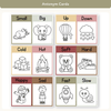 Synonym and Antonym Posters - Australiana English Decor - Miss Jacobs Little Learners