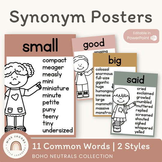 Synonym Posters - Boho Neutrals Theme