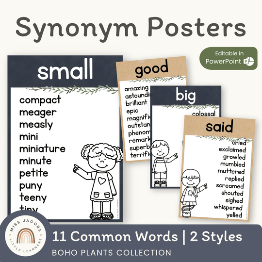 Synonym Posters - Boho Plants Classroom Decor