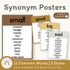 Synonym Posters - Daisy Gingham Neutrals Decor - Miss Jacobs Little Learners