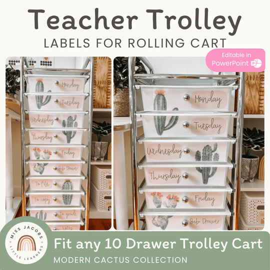 Teacher Trolley Drawer Labels | Cactus Theme | Editable