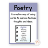 Text Type Posters - Pastel Classroom Theme - Miss Jacobs Little Learners
