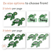 Turtle Door Display Classroom Decor - Miss Jacobs Little Learners