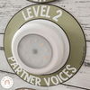 Voice Levels Chart - Woodland Theme Classroom Decor - Miss Jacobs Little Learners